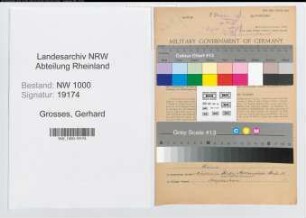 Entnazifizierung Gerhard Grosses, geb. 16.05.1891 (Reg.Inspektor)