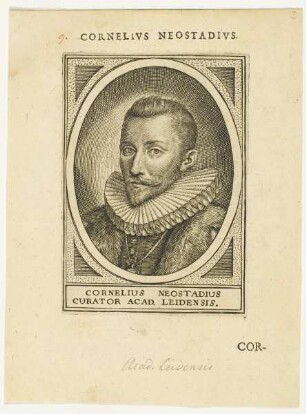 Bildnis des Cornelius Neostadius
