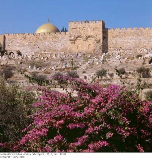 Israel: Goldenes Tor