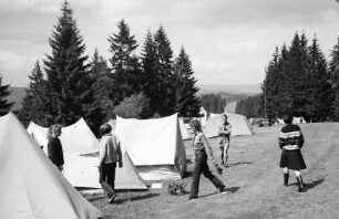 Thurner: ungarisches Pfadfinderlager im Schwarzwald, Spielwiese, Zeltlager