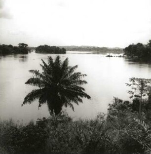 Volta, Ghana. Regenwald-Vegetation mit Ölpalme und Melonenbaum gegen den Strom mit Inseln