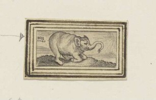 Elefant