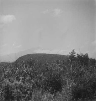 Hügel : Blick durch ein Feld zu einem Hügel.