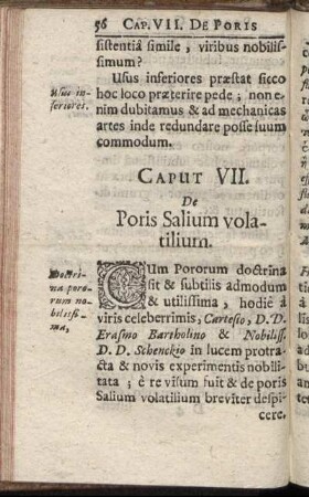 Caput VII. De Poris Salium volatilium.