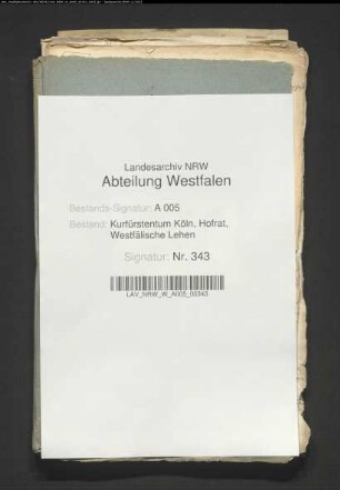 Die Belehnung der von Schade zu Ahausen mit dem Haarkamp vor Belecke
