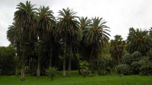 Rom: Orto Botanico/Botanischer Garten