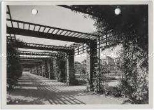 Stettin, Rosengarten