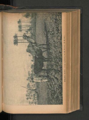 Pflügender Araber. Originalzeichnung von W. Rabes