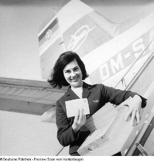 Stewardess