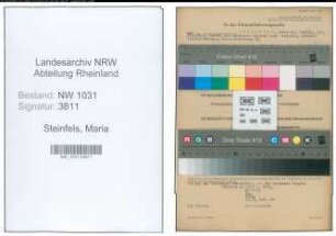 Entnazifizierung Maria Steinfels , geb. 29.04.1906 ()