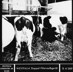 Westfalia-Doppel-Filtermelkgerät