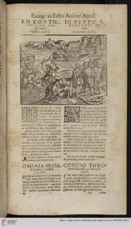 In festo S. Apostoli Andreæ
