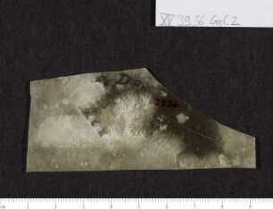 CIL XV 3936 δ, Gelatinefolie