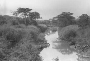 Der Fluss Lupa : Flusslandschaft des Lupa