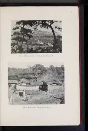 Abb. 2. Koreanisches Privathaus bei Seoul.