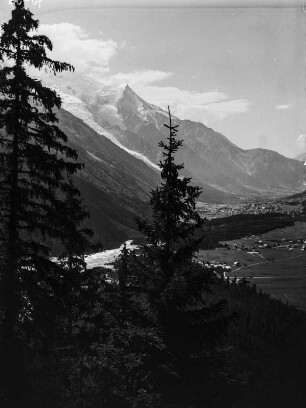 Chamonix-Tal : Blick die Baumwipfel in das Chamonix-Tal