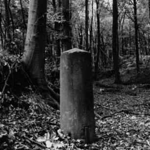 Meilenstein; Darmstadt, nicht zuzuordnende Lagebezeichnung ( bei Nieder-Ramstädter-Straße 251)