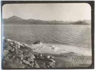 Salar de Surire mit weißem Boraxschaum am Ufer und Cerro Pumiri im Hintergrund