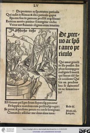 Qui cadit in flammas et dira pericula quaerit, sponte sua in puteum prosilit atque libens...