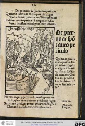 Qui cadit in flammas et dira pericula quaerit, sponte sua in puteum prosilit atque libens...