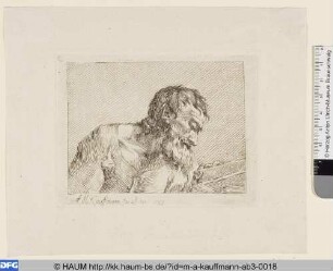 Der lesende Greis