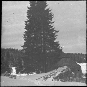 Scheune in Feldberg-Bärental