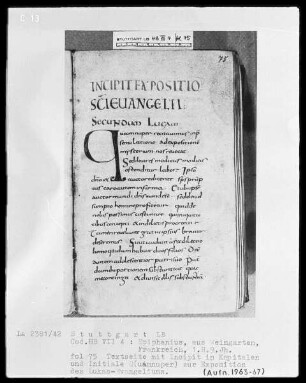 Epiphanius Latinus, Interpretatio evangeliorum — Initiale Q(uamnuper), Folio 75recto