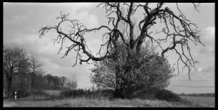 Landschaft bei Quoos