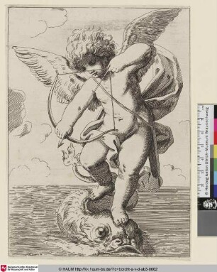 [Amor mit gespanntem Bogen auf einem schwimmenden Delphin stehend]