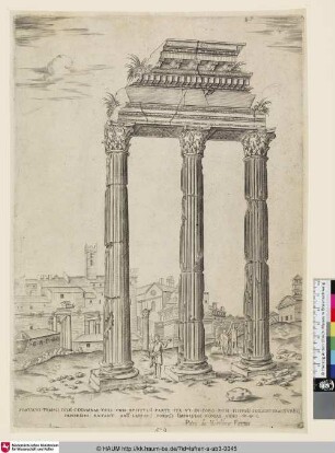 Porticus Templi Iulii Columnae tres