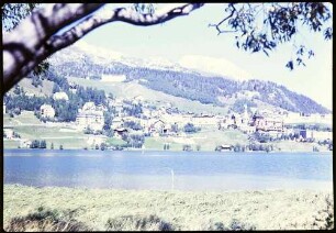 keine Beschreibung [St. Moritz: St. Moritz mit See, Vordergrund Ast]