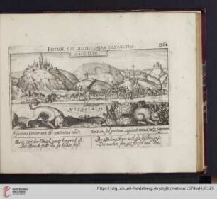 D64. Chochheim, "Potior est gustus, quam olefactus"
