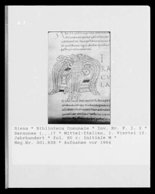 Sermones (...)? — Initiale M, Folio fol. 80 r