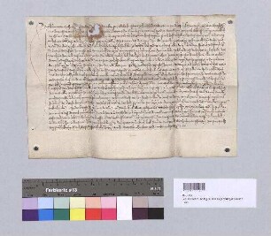 Leutwein Schroter zu Regensburg, seine Ehefrau Barbara und ihr Sohn Hans Schroter bekennen, dass ihnen das Kloster St. Paul ein Haus samt Hofstätte auff Thwnau zu Regensburg und ein Eckhaus bei einem Eckhaus, das dem jungen Streben gehört, als Leibgeding verliehen haben. S: Leonhard Gravenreuther, Schultheiß zu Regensburg