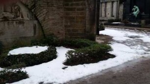 Sonntag Schnee #04