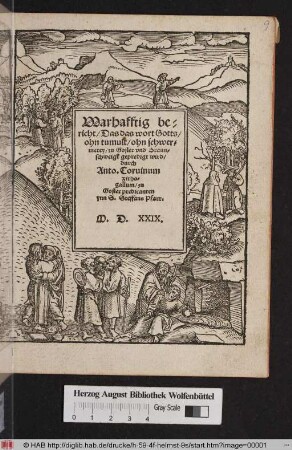 Warhafftig bericht/ Das das wort Gotts/ ohn tumult/ ohn schwermerey/ zu Gosler und Braunschweigk gepredigt wird