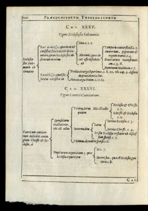 Cap. XXXVI. Typus Cantici Canticorum.