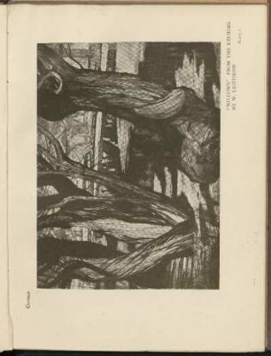 Abbildungen [Pl. 1 - 25]