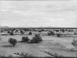 Strauchlandschaft : Landschaft mit Strauchvegetation in Arizona am Salt River östlich von Phoenix