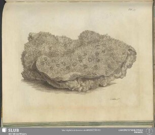 Tab. 39