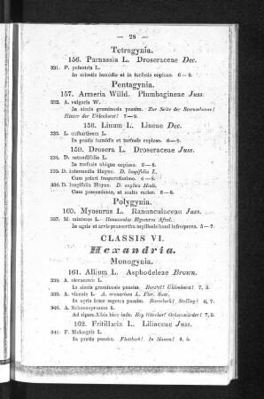 Classis VI. Hexandria.