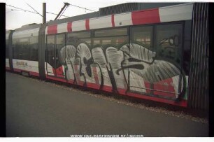 REMS