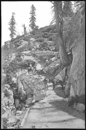 Yosemite. Glacier Point Trail, Yosemite, Cal.