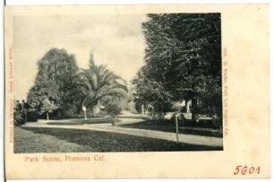 Park Scene, Pomona, California