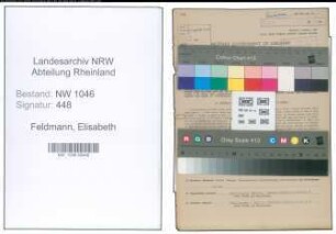 Entnazifizierung Elisabeth Feldmann , geb. 01.12.1891 (Kassenangestellte)