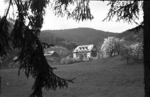 Glotterbad: Sanatorium; (Vordergrund: tief herabhängende Tanne)