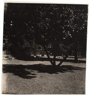 Garten Baensch, Magdeburg: Gesamtbild