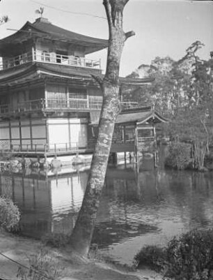 Kinkaku-ji in Kyoto : Goldener Pavillon (Shariden) (1397, Wiederaufbau 1955). Ansicht vom Ufer des Kyōkochi-Teiches