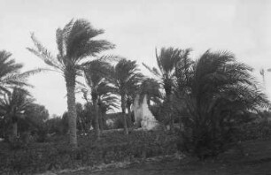 Ruinen (Libyen-Reise 1938)