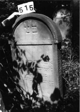 Grabstein 515 (Index: 99802694) Material: Sandstein Zustand: gut Maße HxBxT: 127x59x11 cm Beschreibung: Stele mit verdachtem Rundbogen, profiliertem Rand, Giebelfeld: Grabstein 515